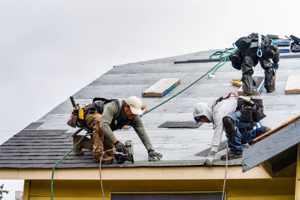 Professional Gutter Installation technician working in Genoa, WV